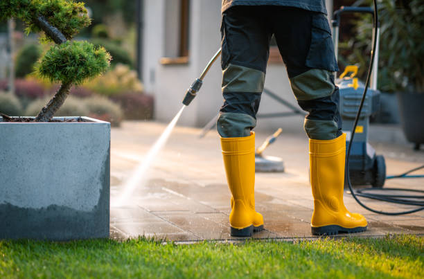Best Affordable Pressure Washing  in , OR